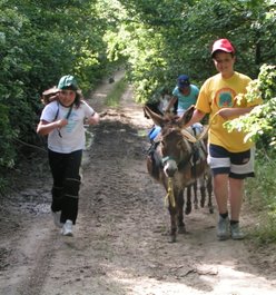 Kinder Eselwandern